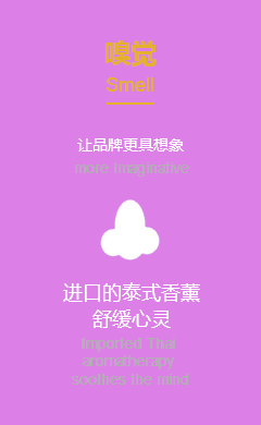 嗅觉 嗅觉